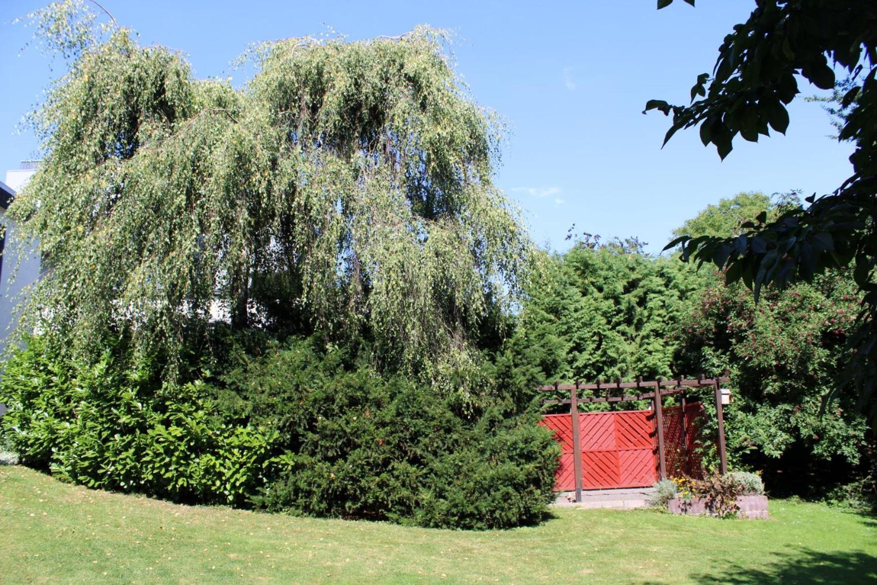 Ferienwohnung Moehneblick Möhnesee Dış mekan fotoğraf